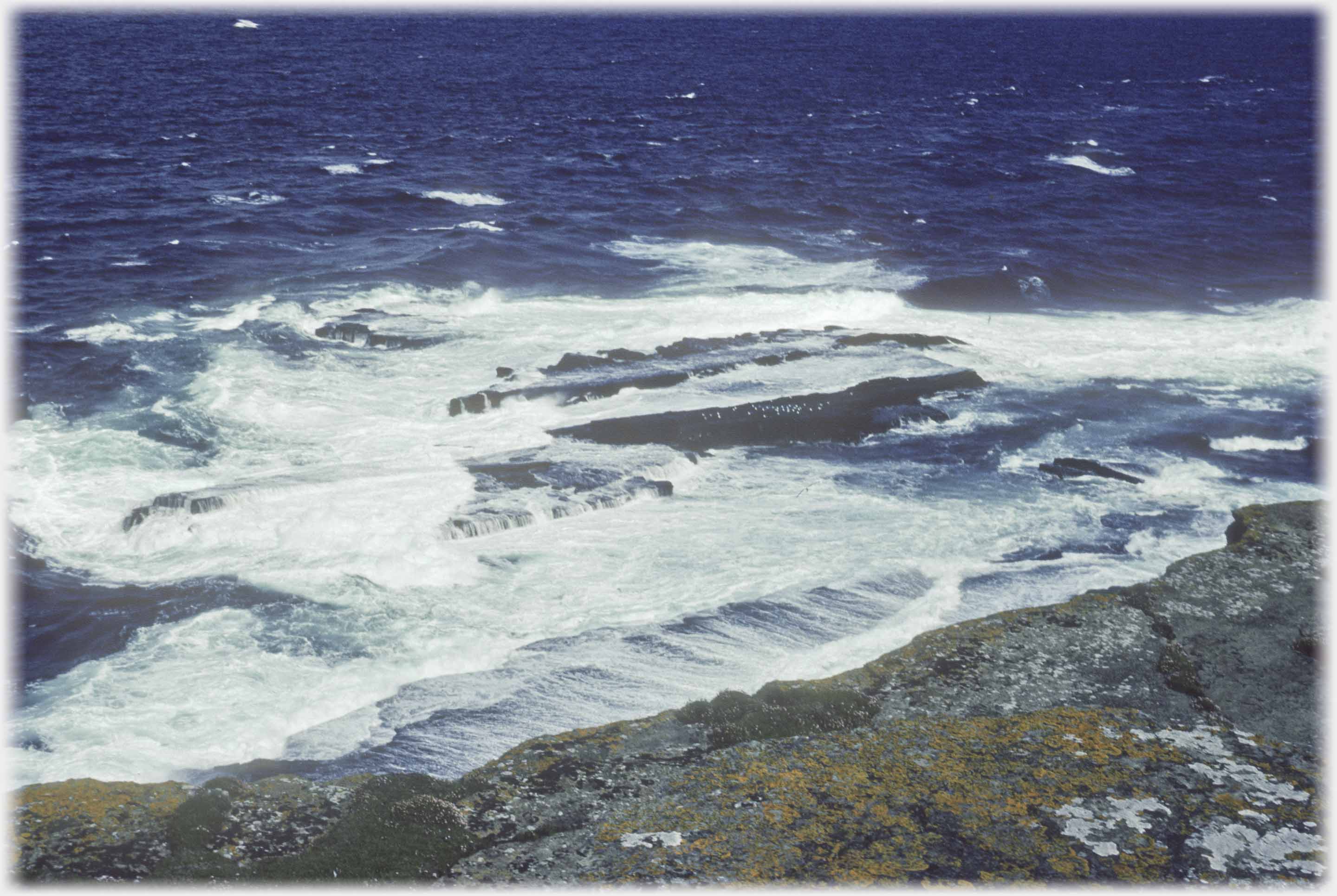 Closer shot of beakers on sea rocks.