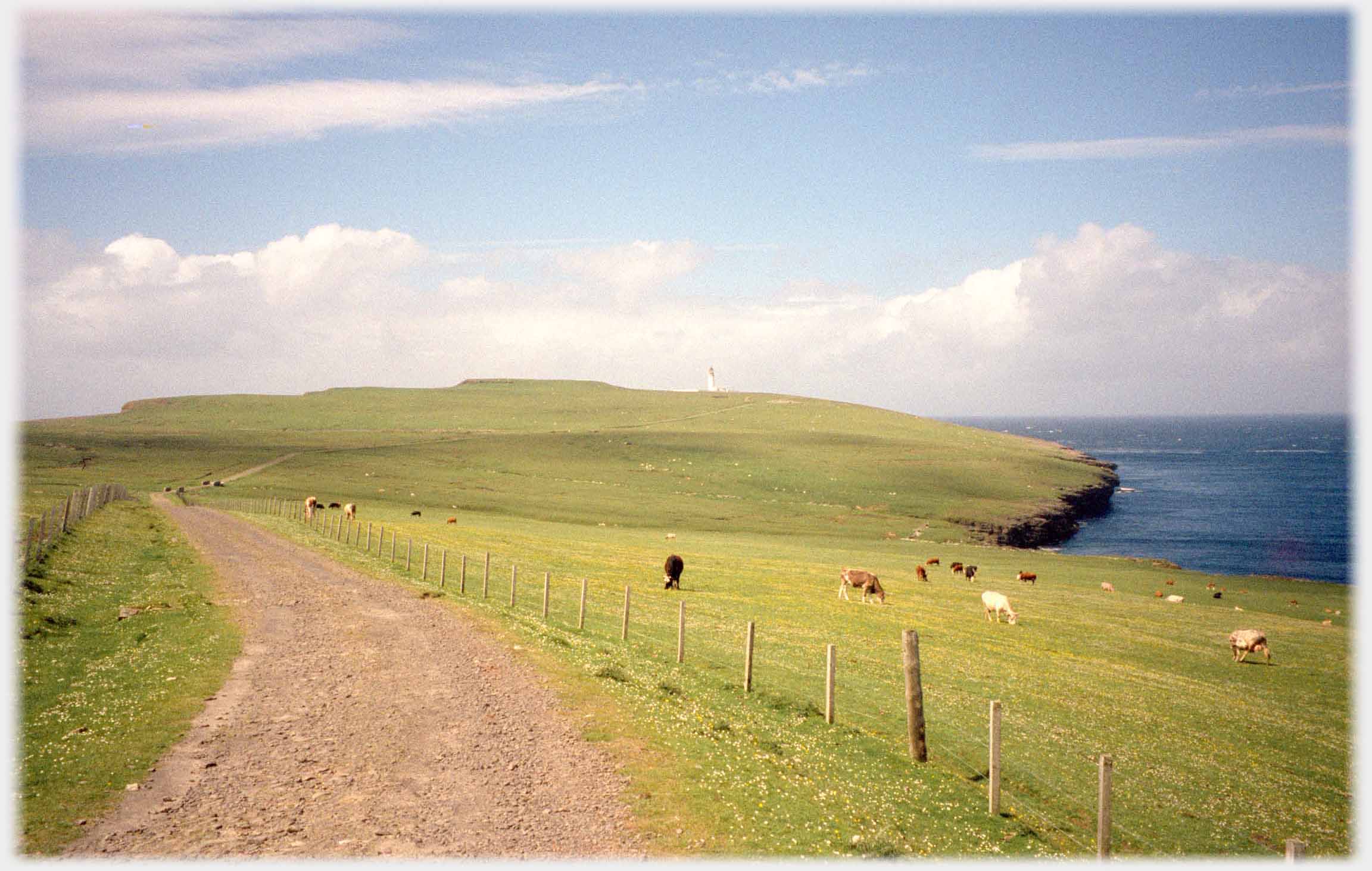 Lighthouse on headland in the distance, sea beyond, grass before.