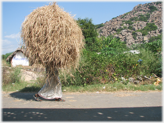 Hay bale with feet below it.