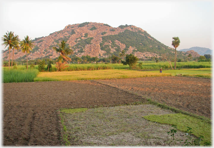 Rocky hill and fields.