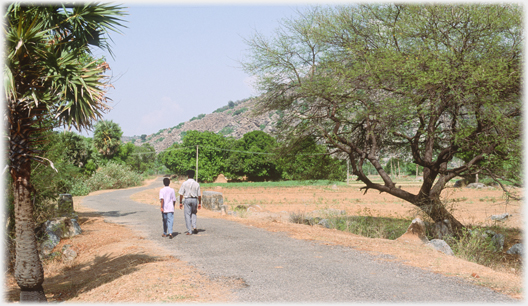 Road to the village.