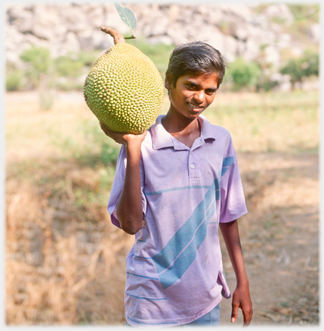 Youth holding fruit.