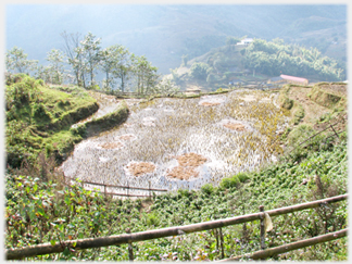 A flat field among terraces.