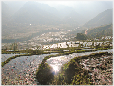 Sunlight on rice terraces.