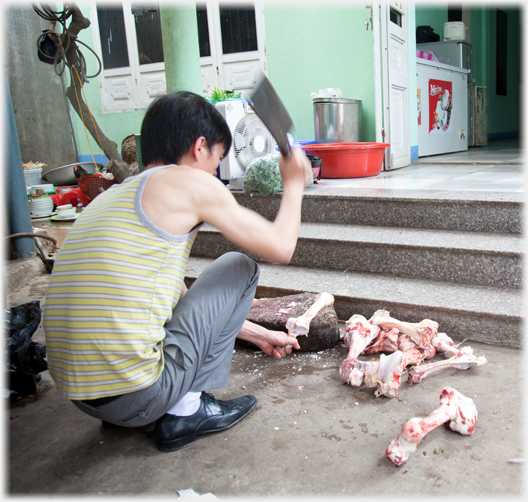 Chopping bones.