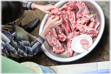 Removing meat from skulls.