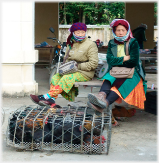 Women and Hen cages.