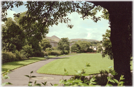 Brighton Park grass with hill in distance showing over houses.