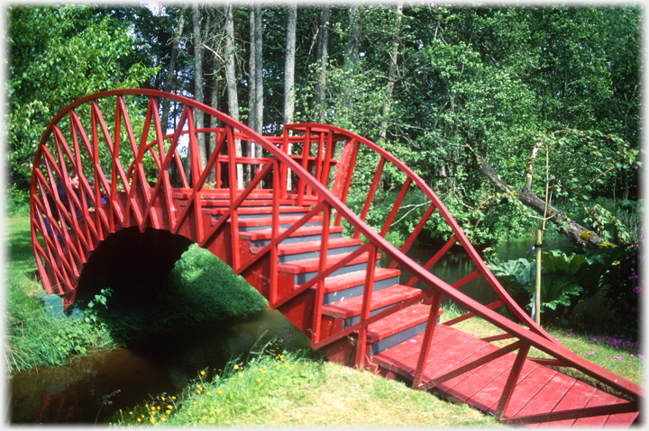 Jumping Bridge.