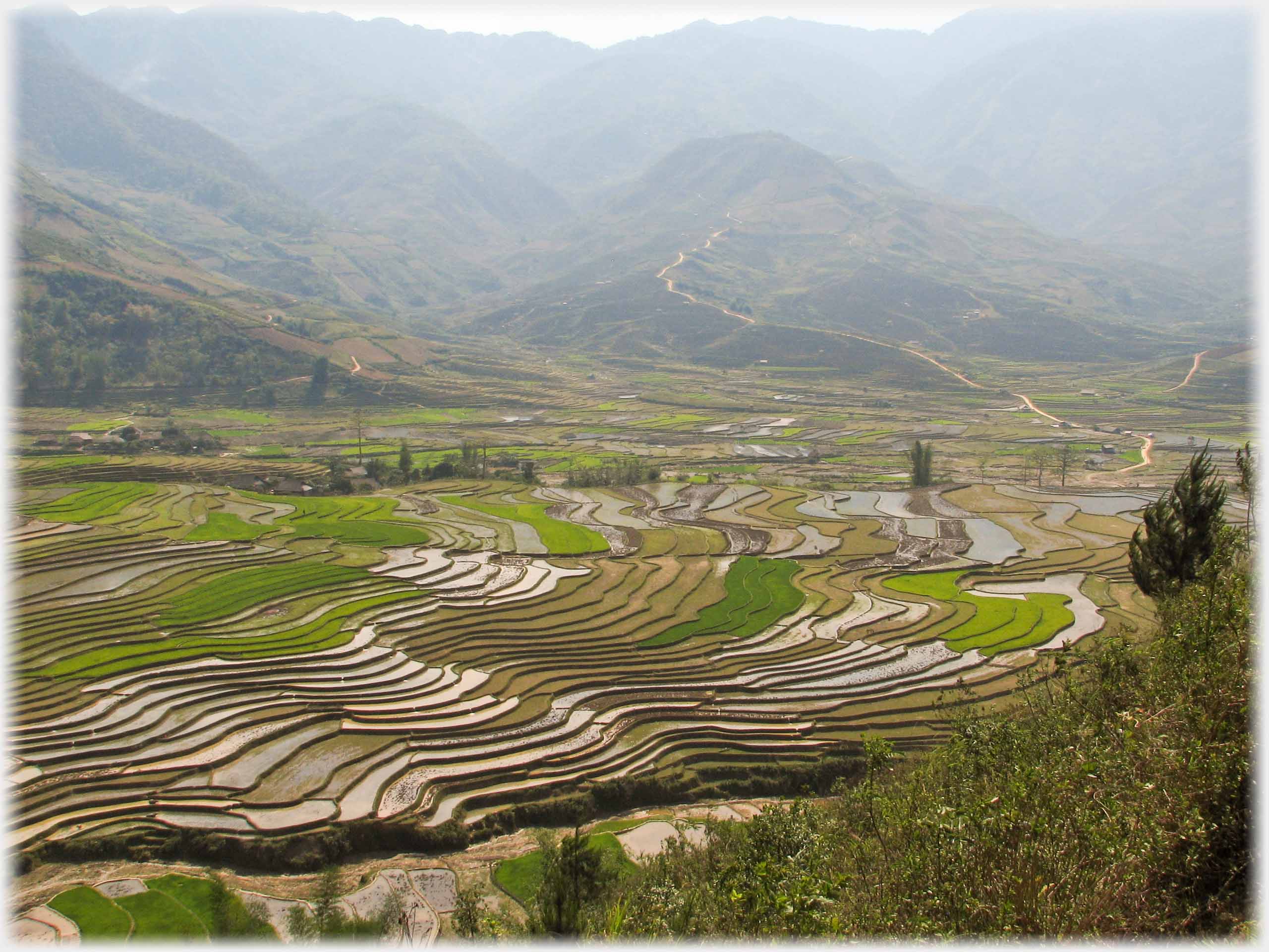 Wide valley with mountains, valley floor covered by shallow terraced fields some turning green.