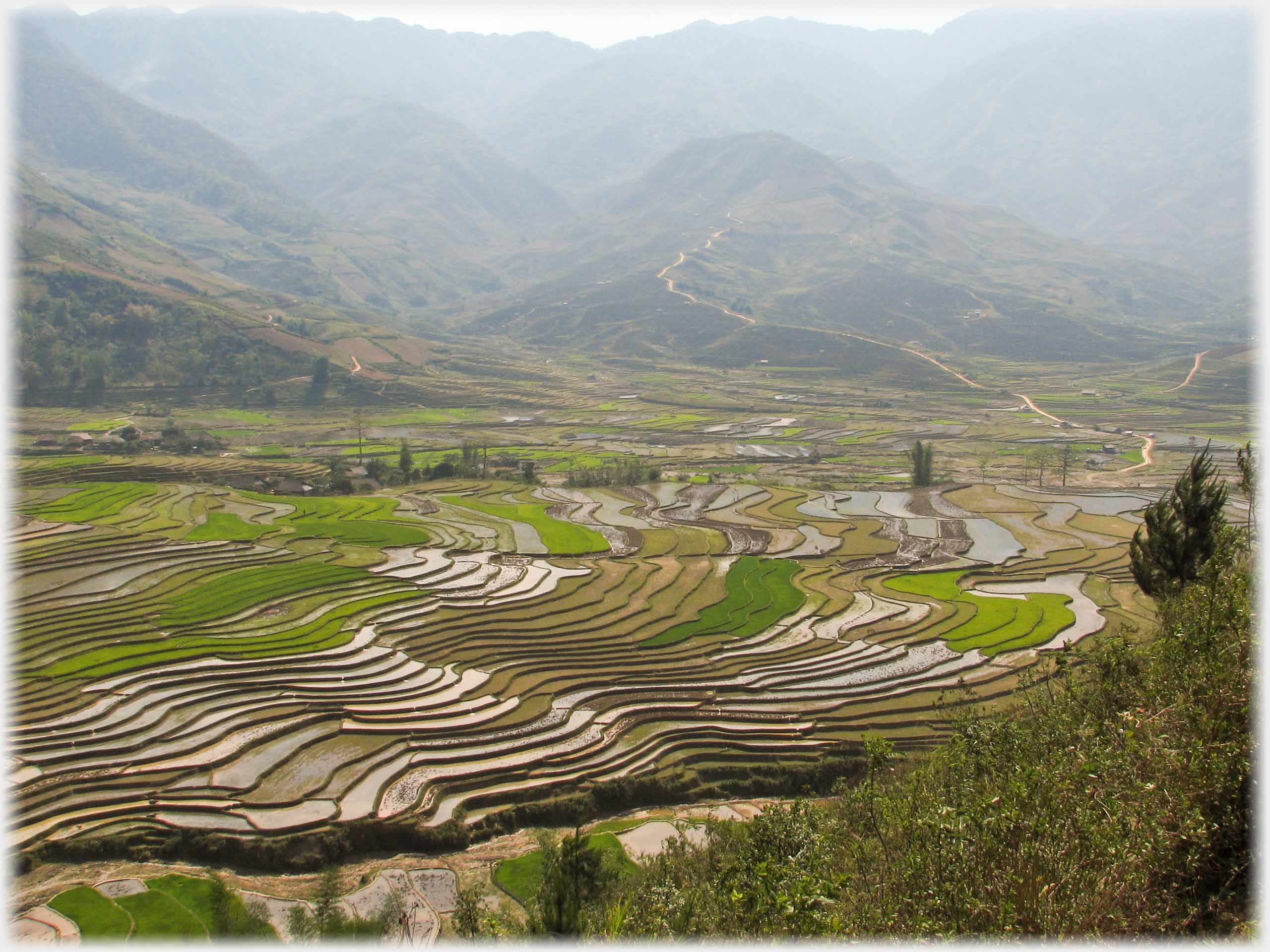 Wide valley with mountains, valley floor covered by shallow terraced fields some turning green.