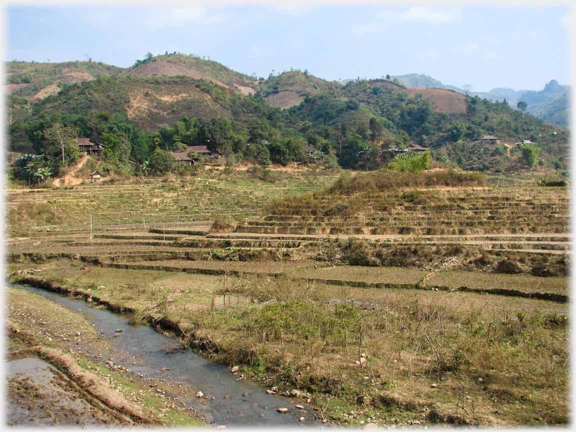 Low brown terracing in winter.