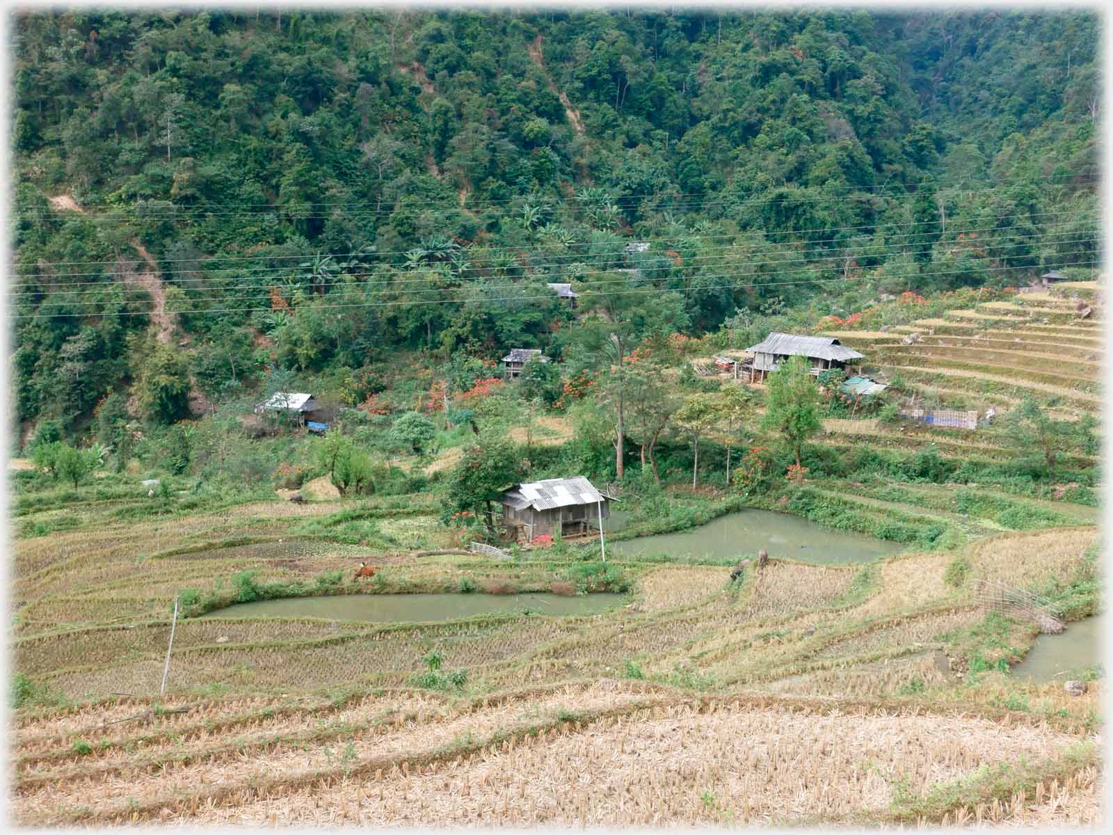 Signs of green in fields leading down to village.