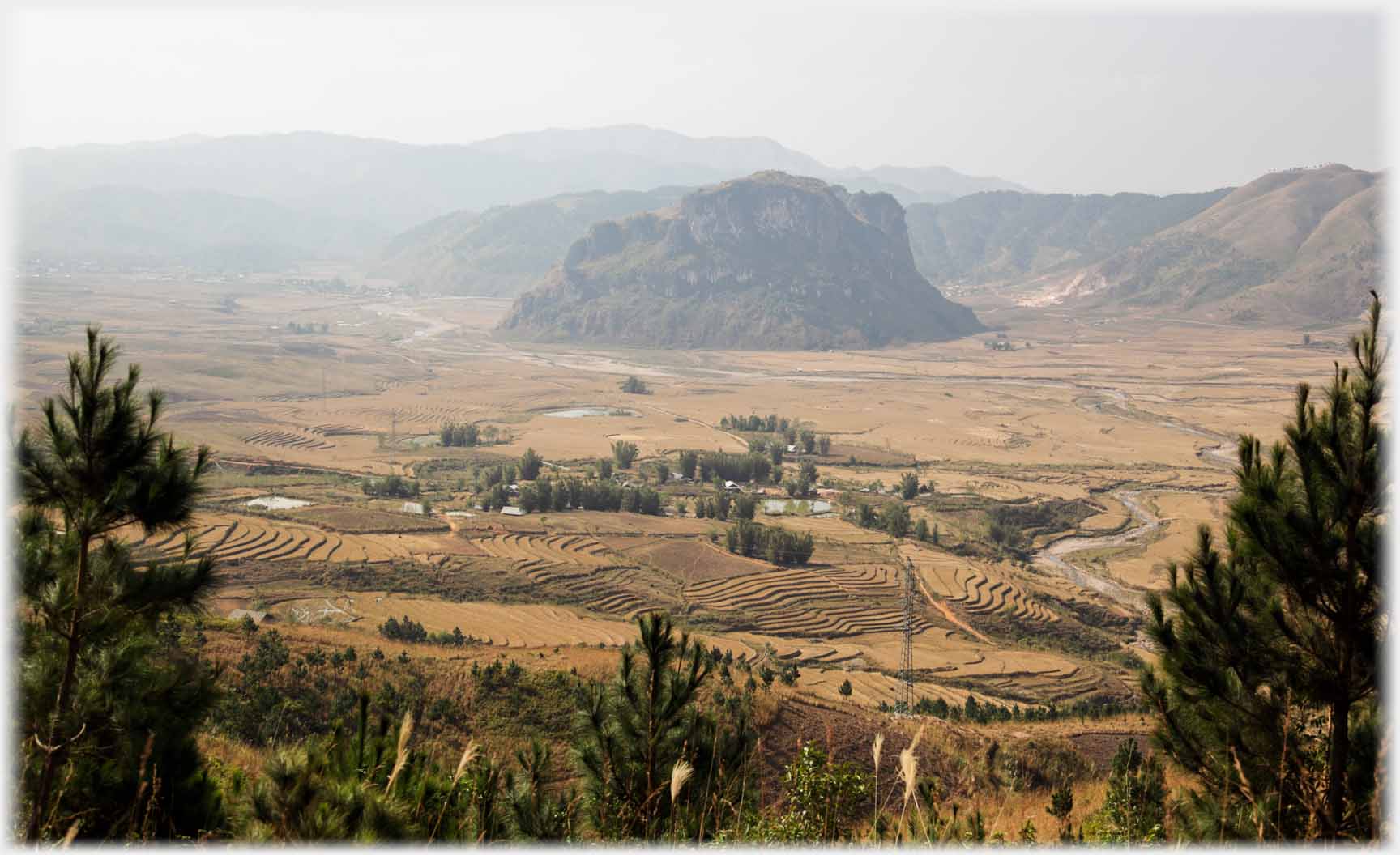 Village with bamboos in relatively flat landscape of terraced fields.