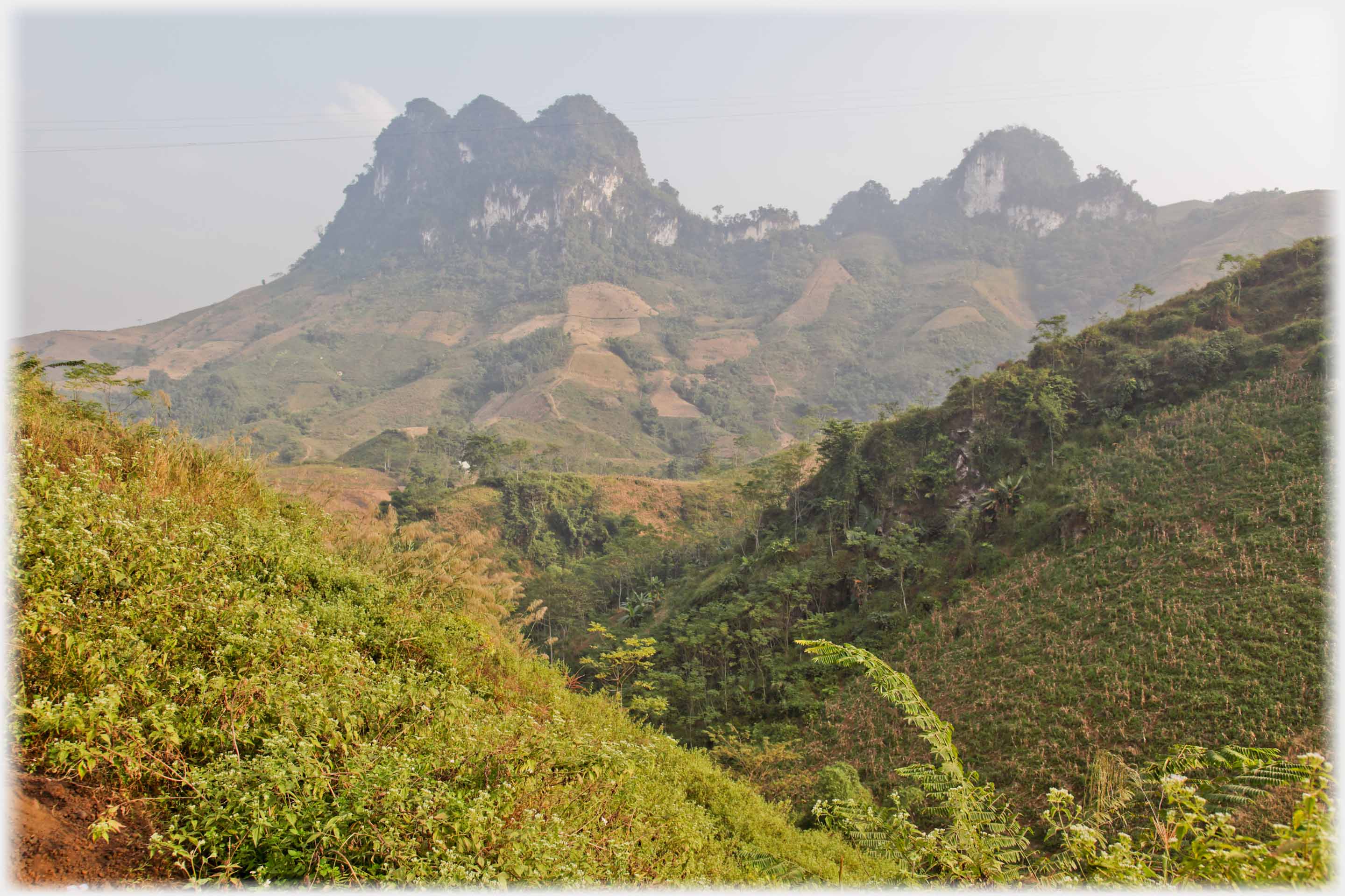 Whitened karst peaks above slopes of varied vegetation.