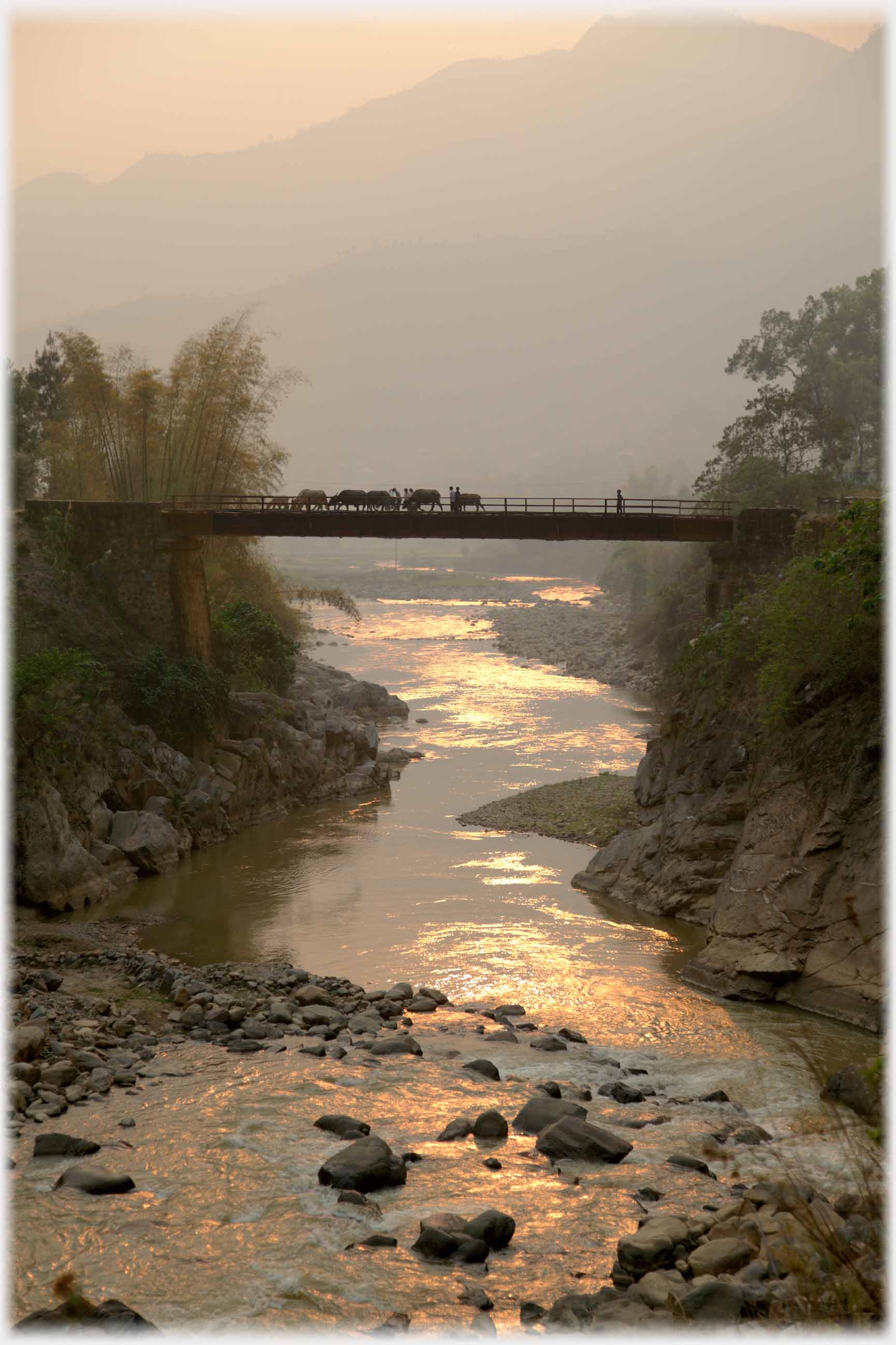 Sun setting on bridge over river with buffalo and figure.