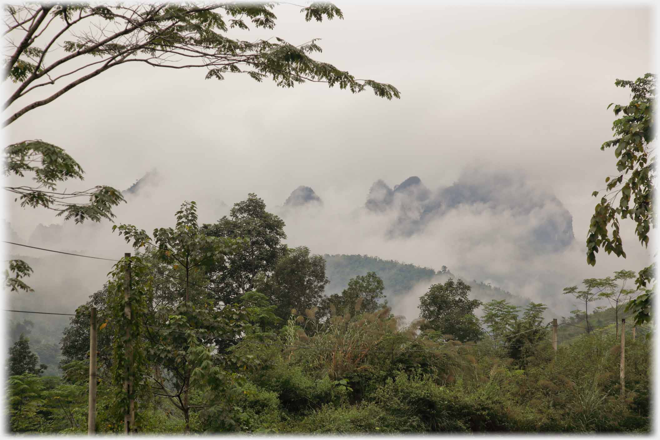 Treed karsts with clouds almost obscuring them.