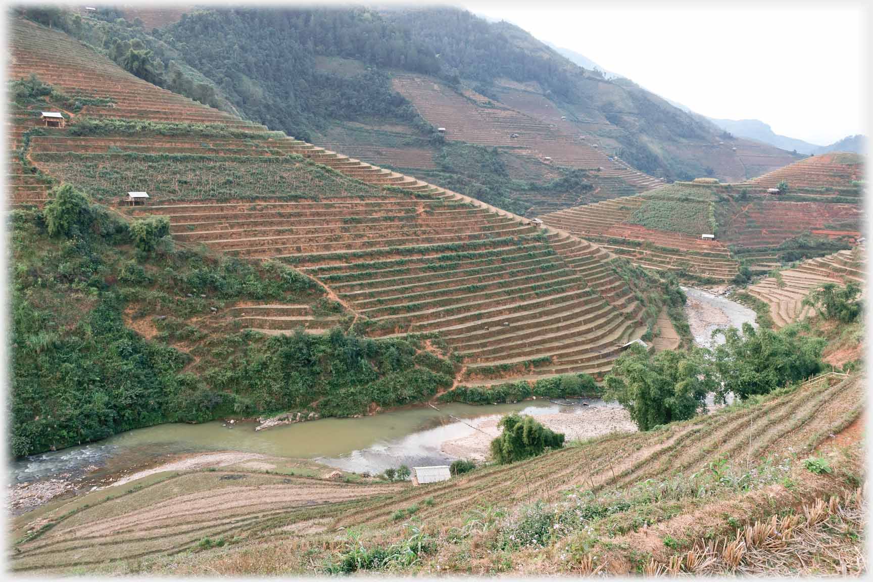 An immaculate terraced hill running down to a river.