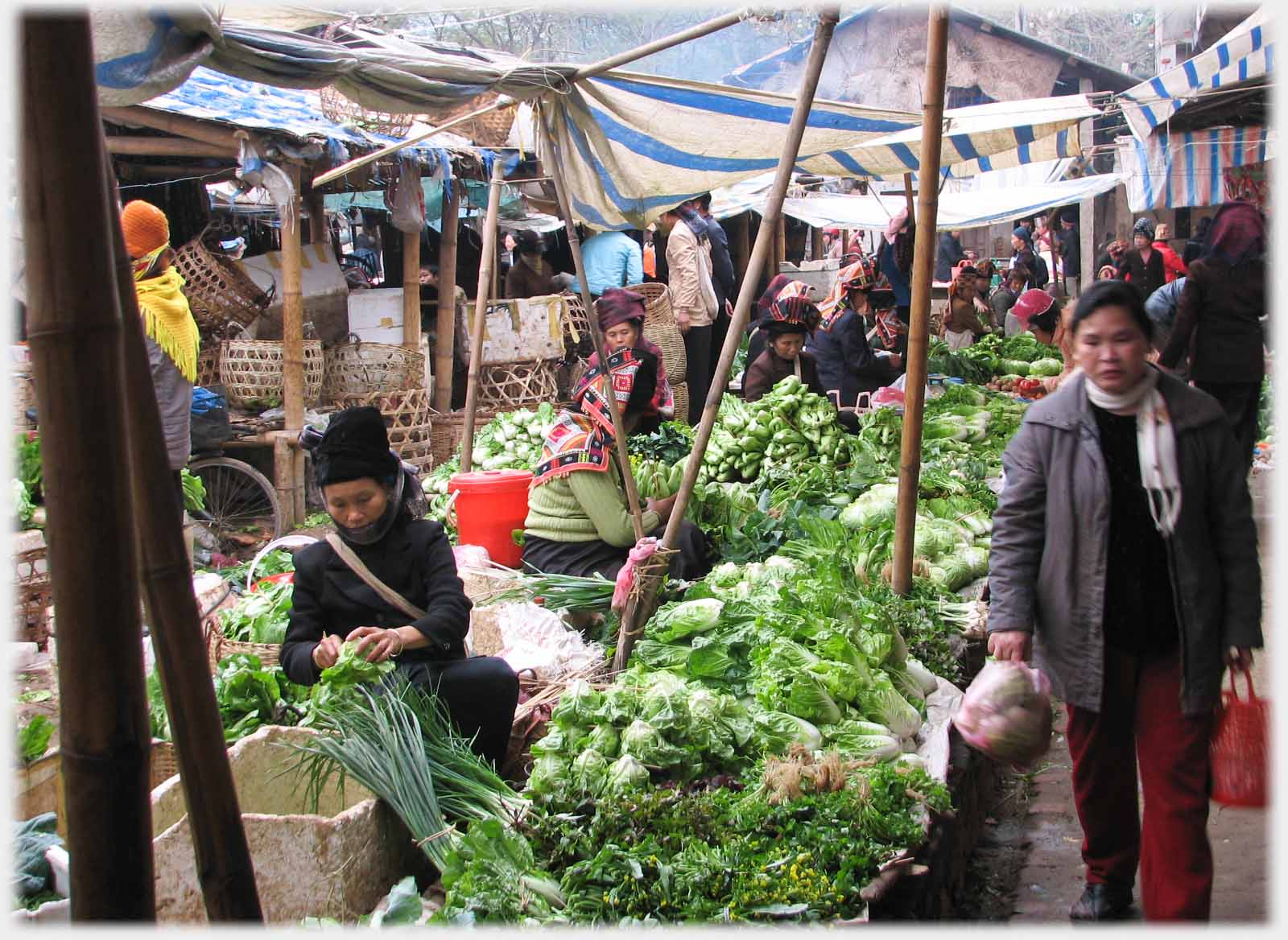 Row of vegetable stalls.