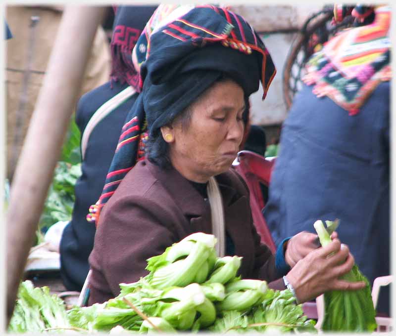 Woman with pursed lips cutting vegetable.