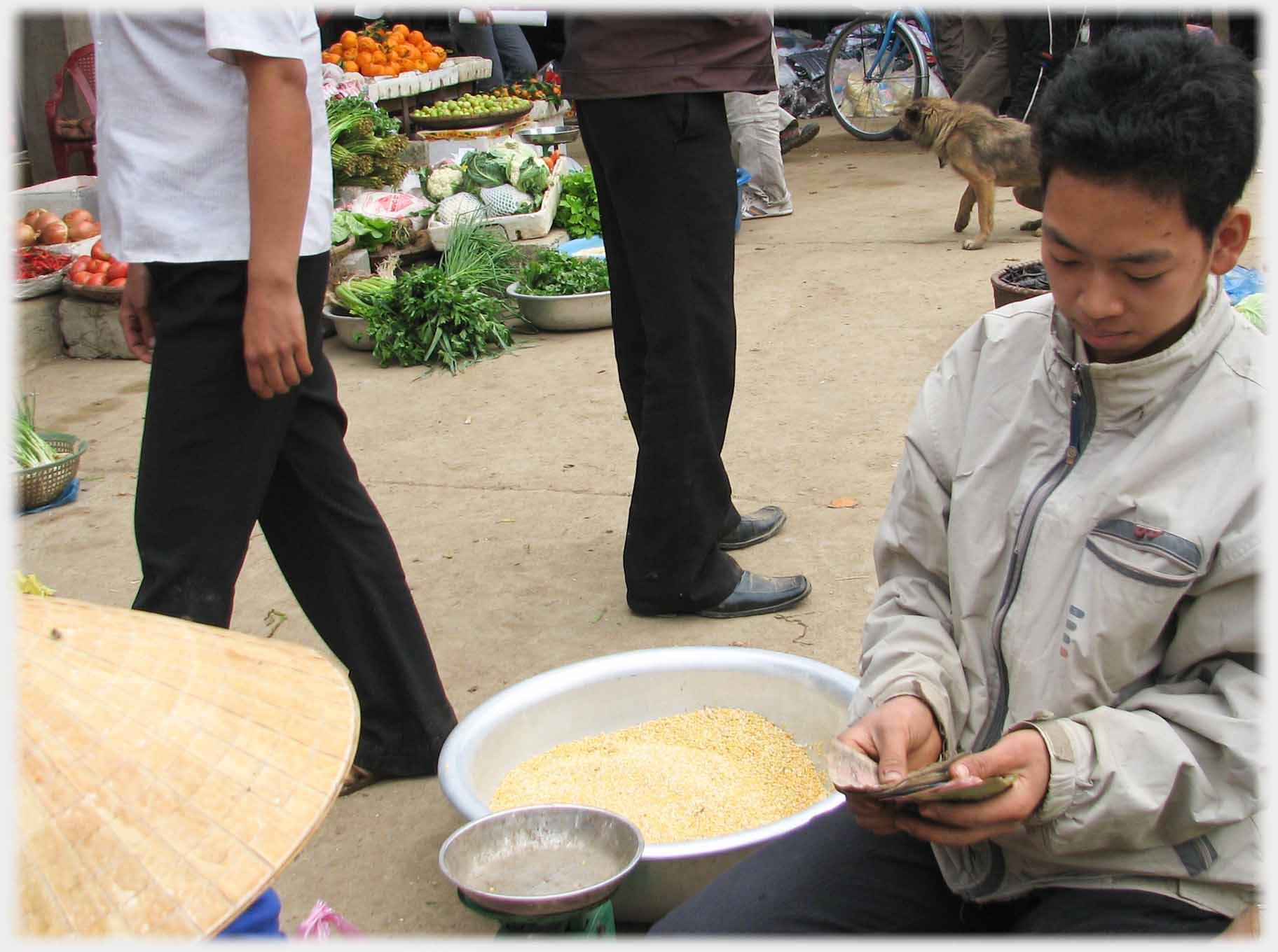 Man by basin of corn counting notes.