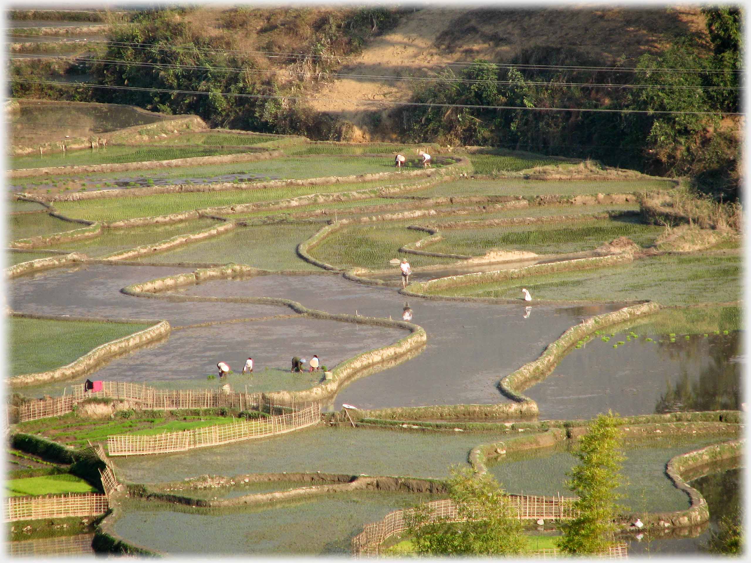 Looking down on fields with a number of workers in them.