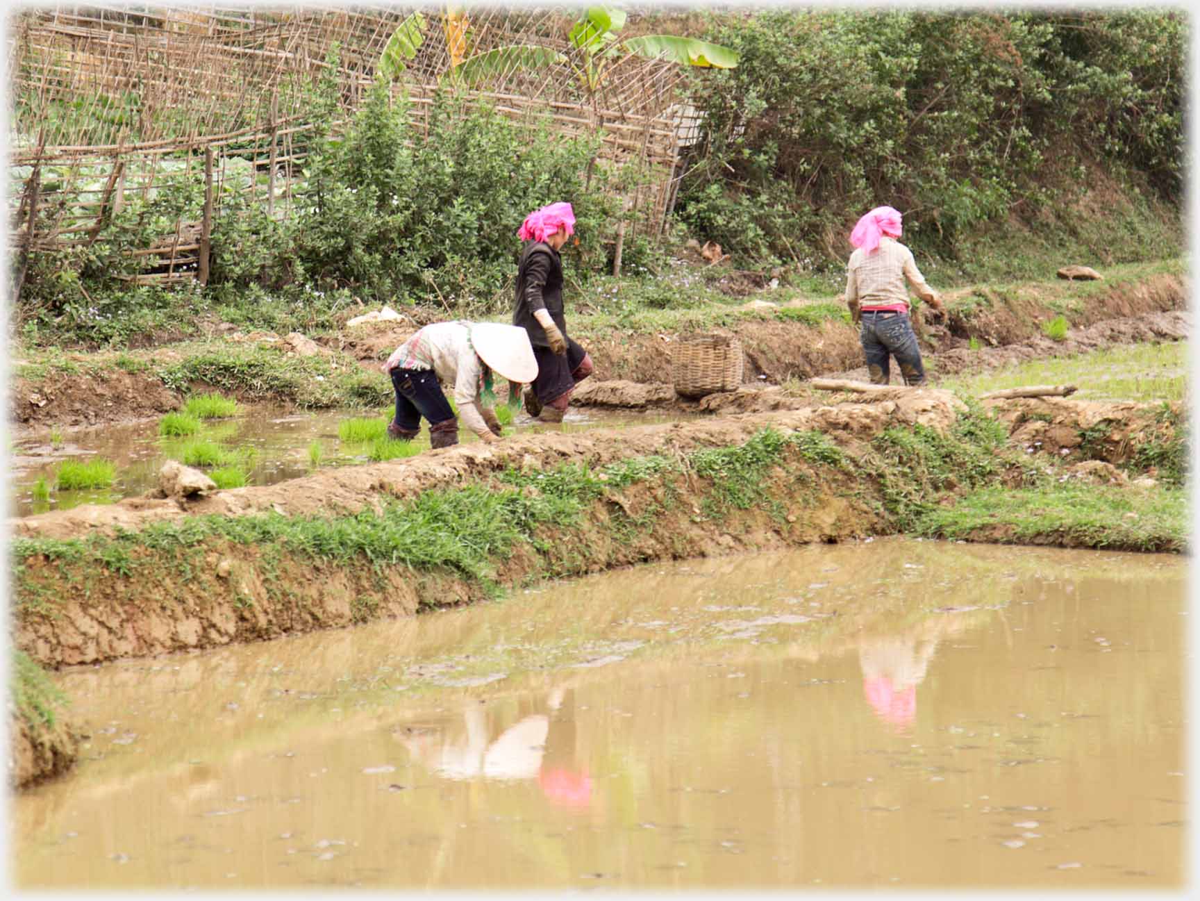 Three women near unplanted mud field.