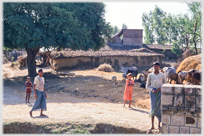 Village centre with villagers and cattle.