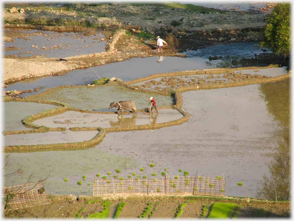 Water filled fields, one man ploughing, one digging.