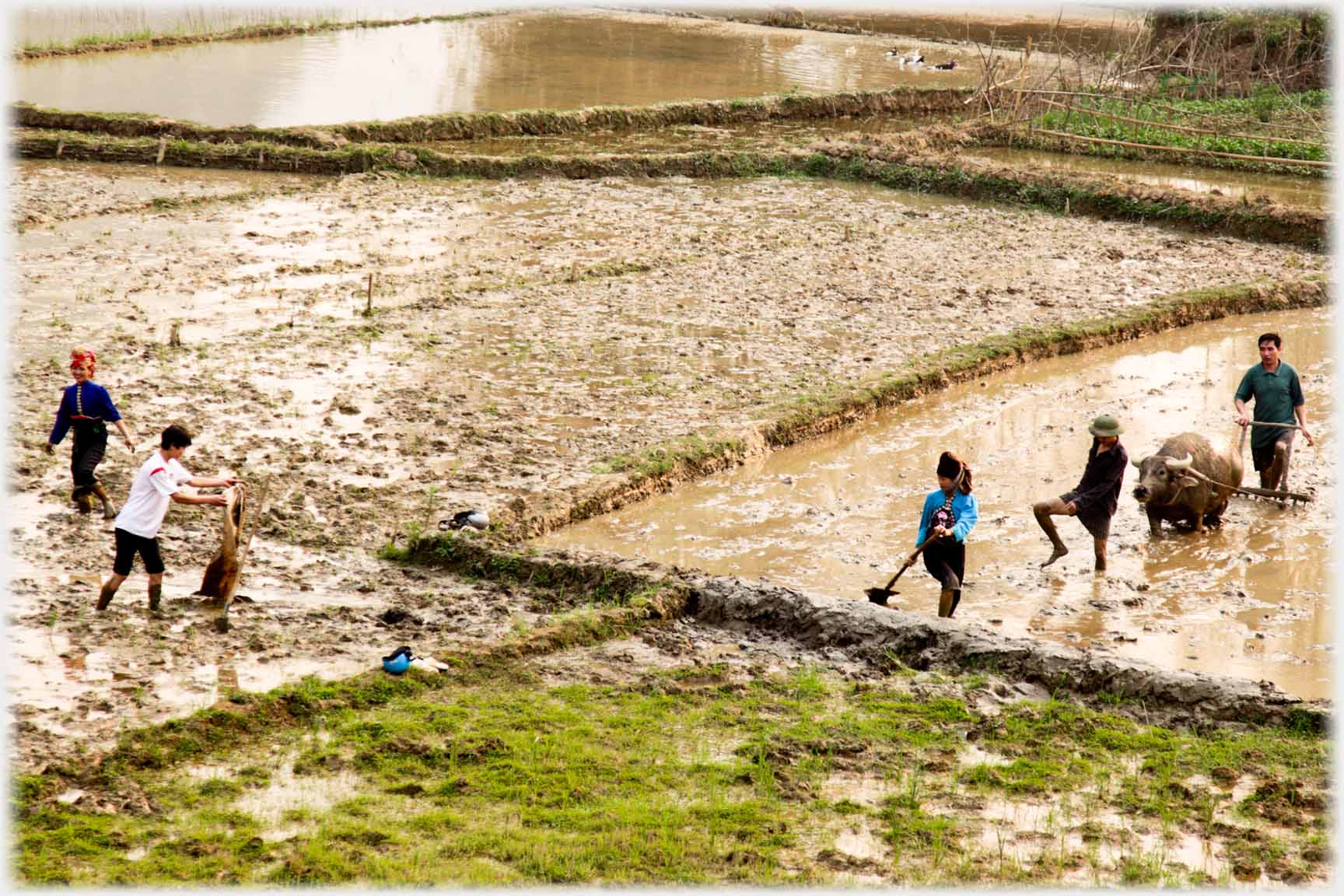 One man with plough seen extracting his leg from the mud.