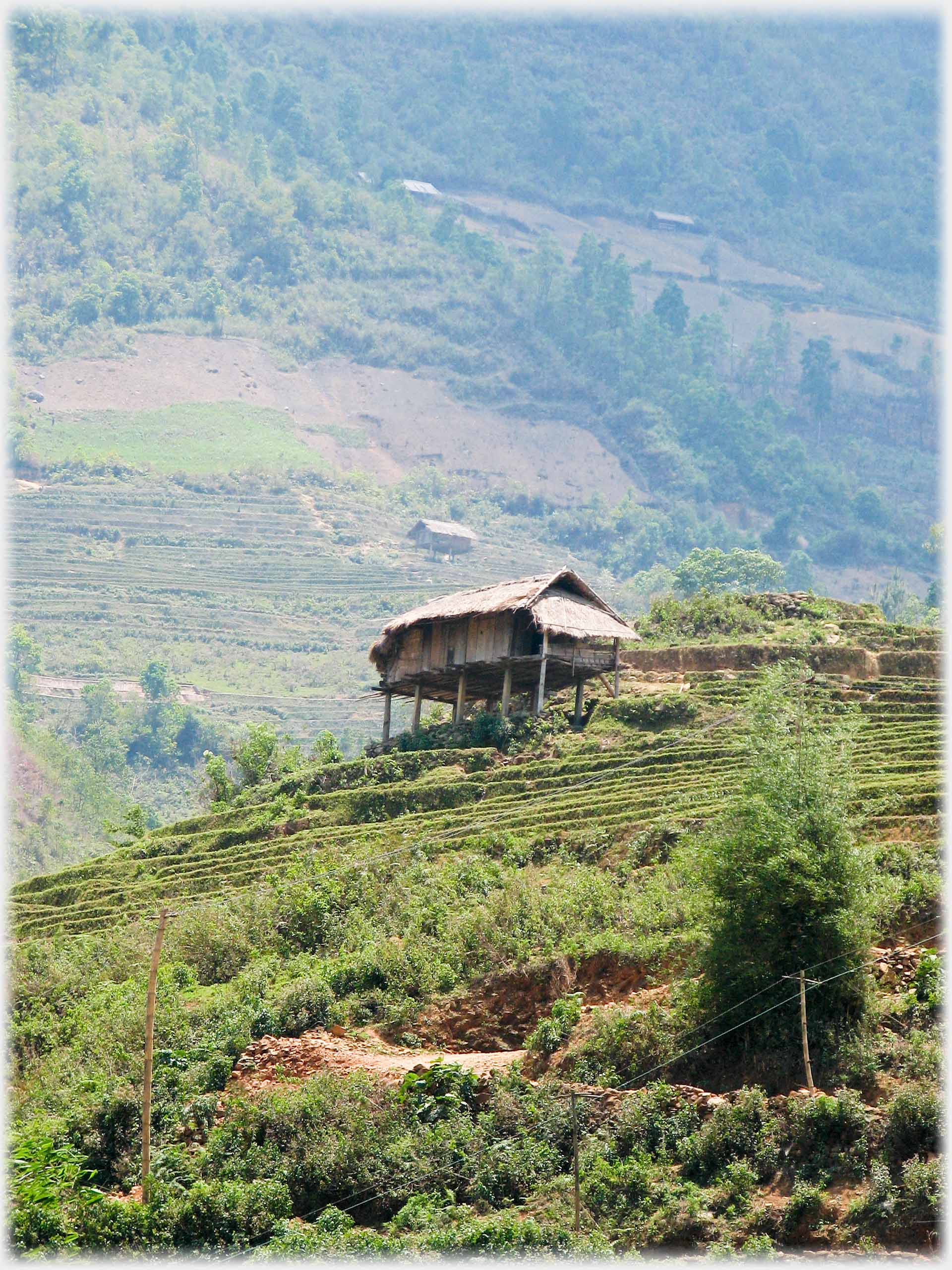 Stilt house perched on terraces, more on mountainside beyond.