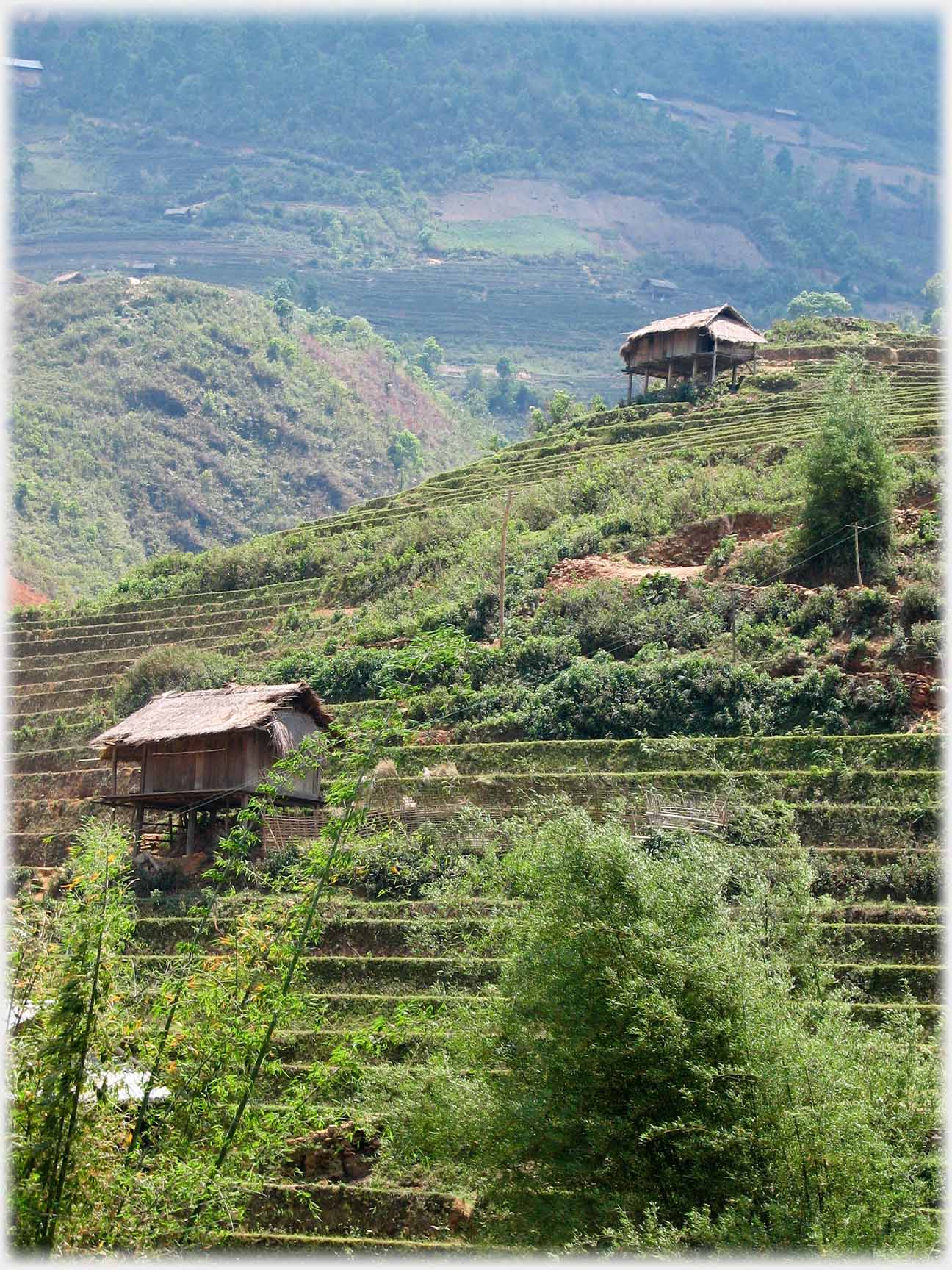 Two stilted houses on terraced slope.