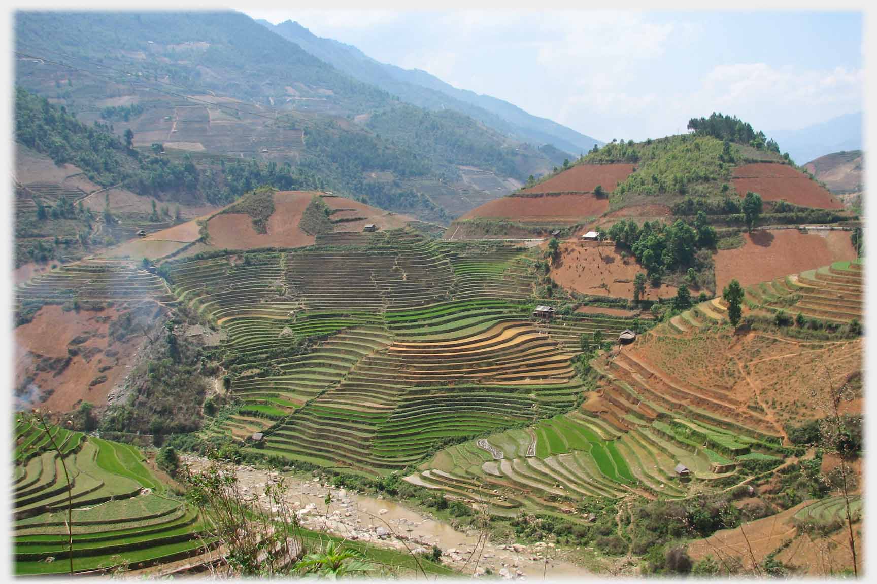 Valley with hills terraced in waving lines.