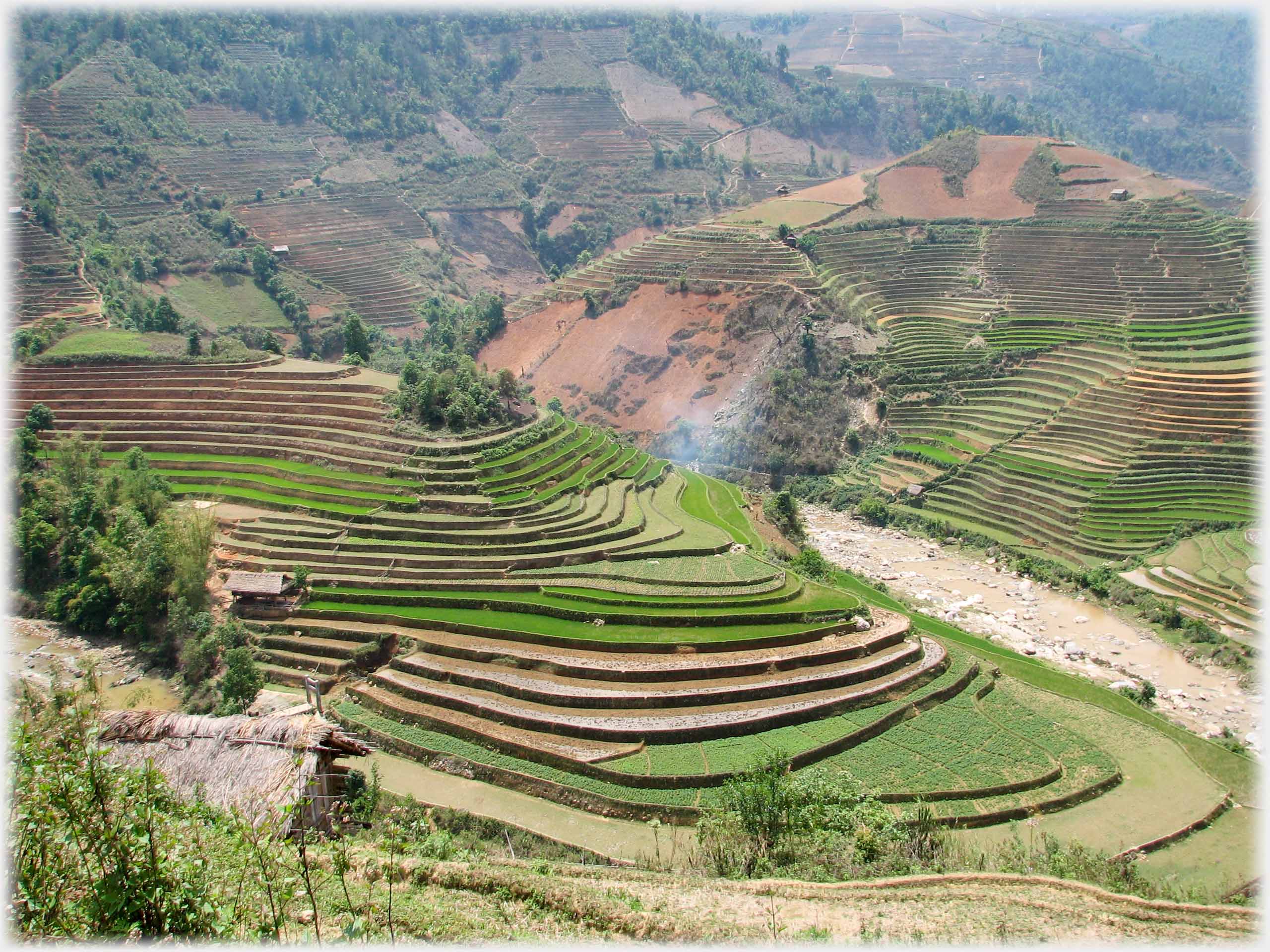 Tounge shaped hill terraced and sloping down towards river.