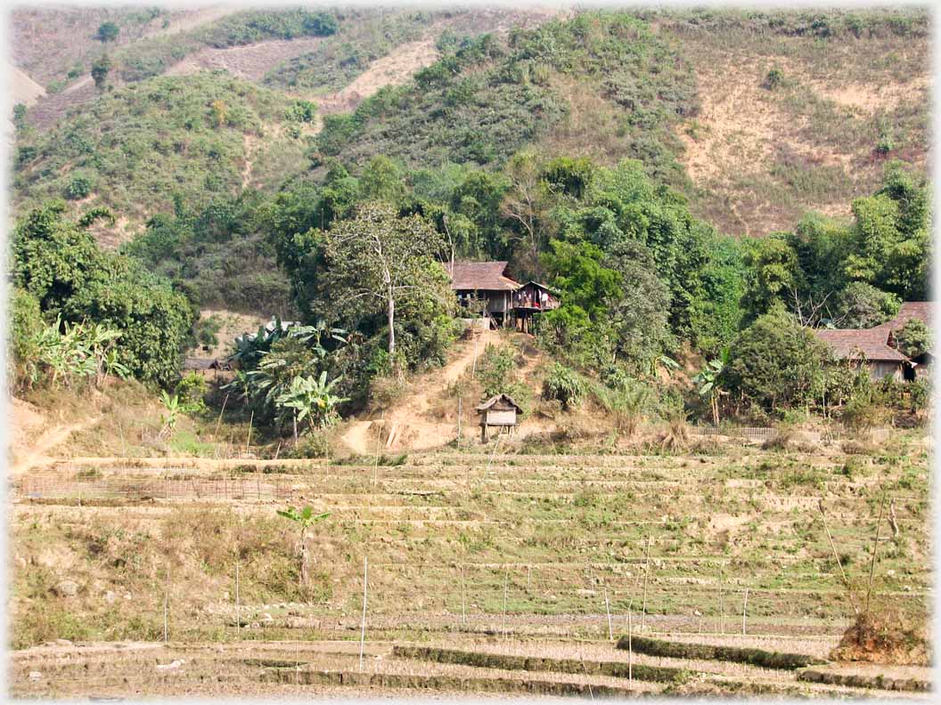 At the foot of the hills a village sits amongst trees with low terraces in front.