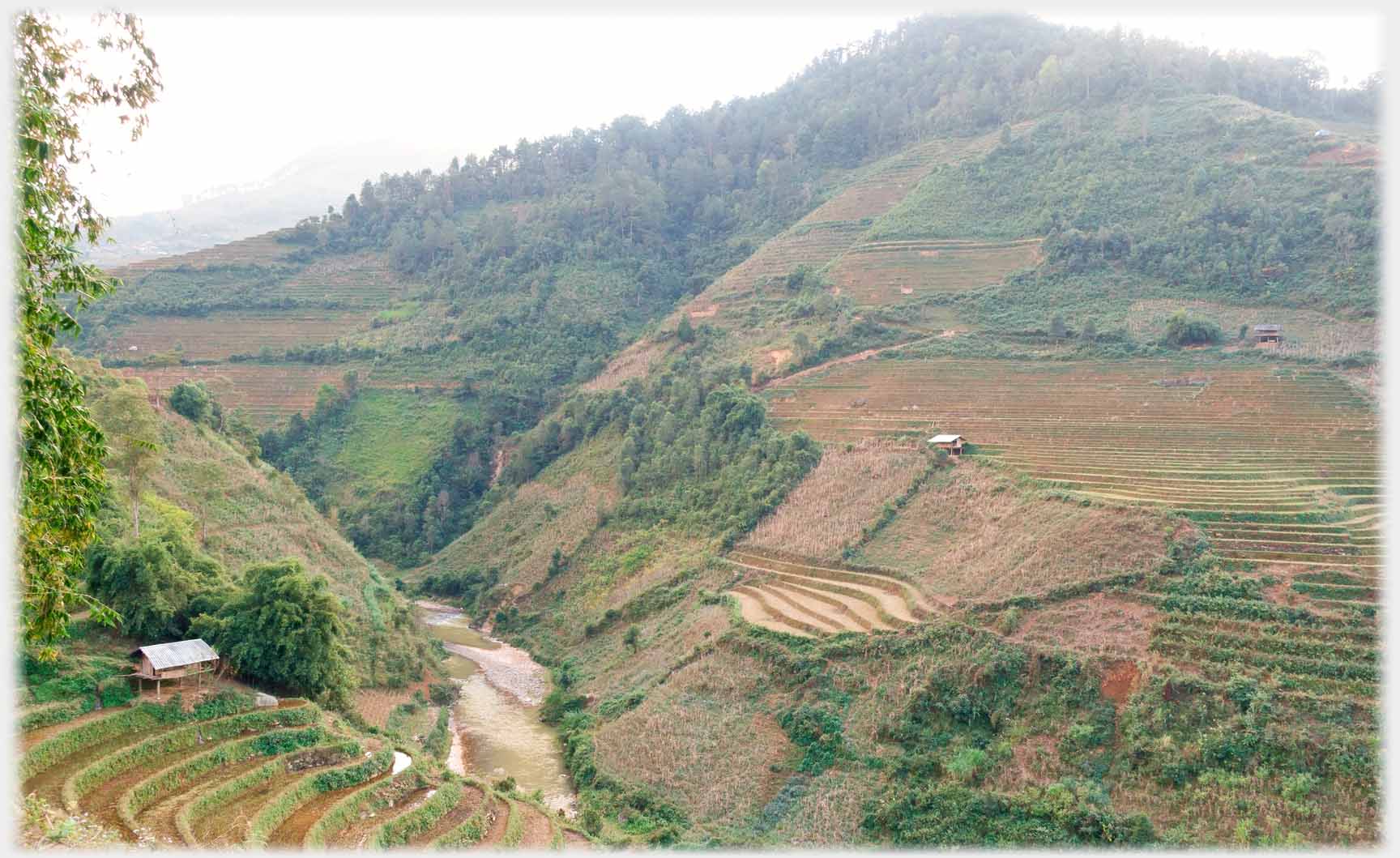 Hillside slopping to river but with far less terracing and more trees.