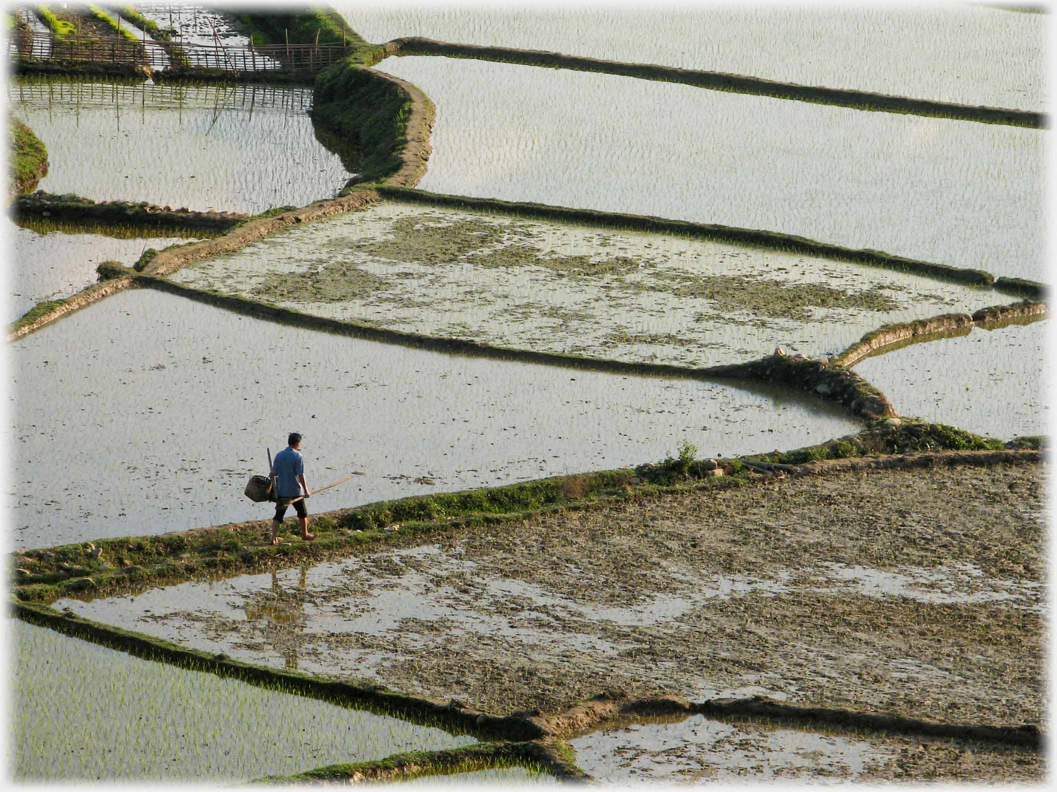 Man walking by ploughed field.