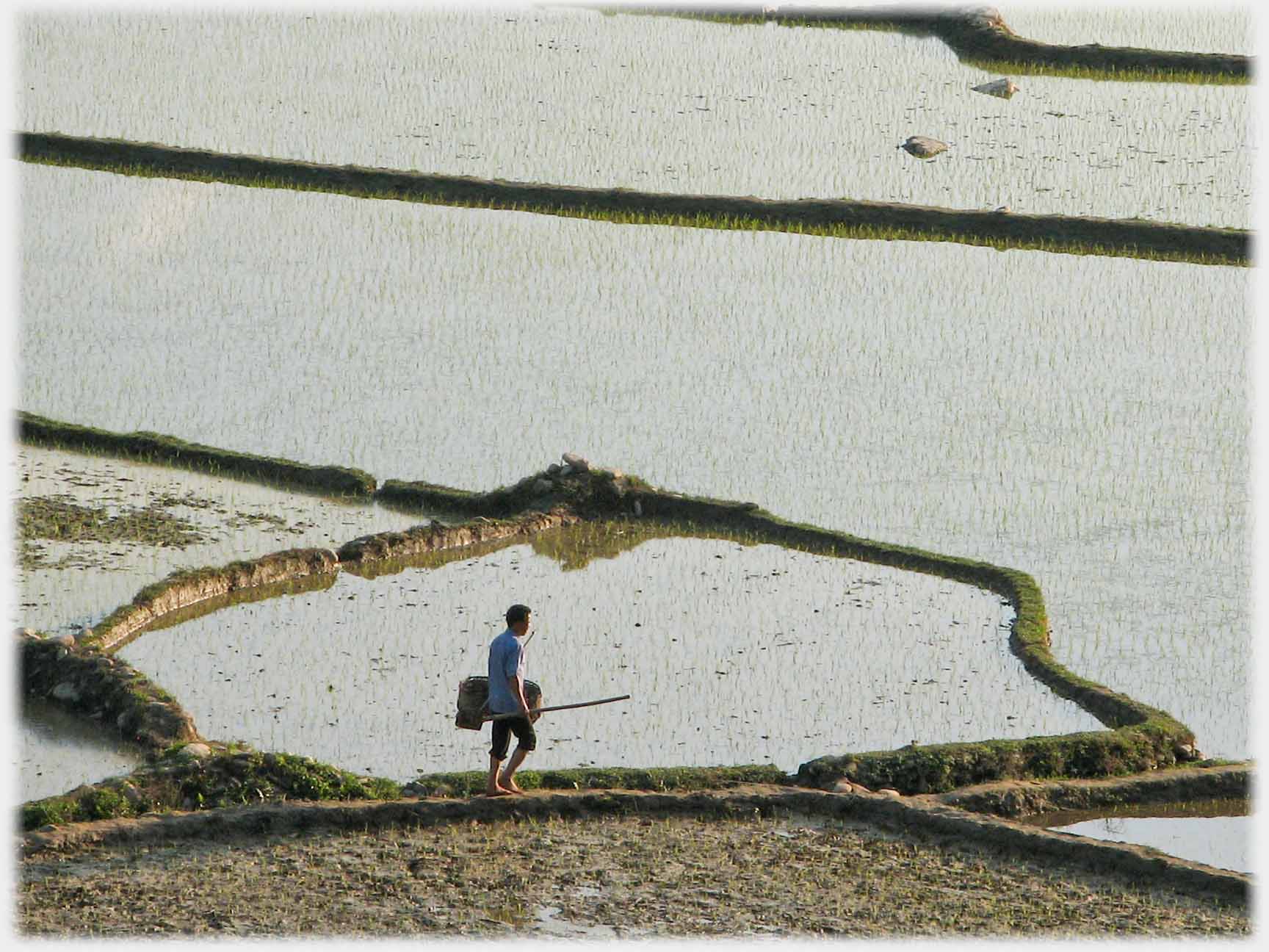 Man walking by ploughed field.