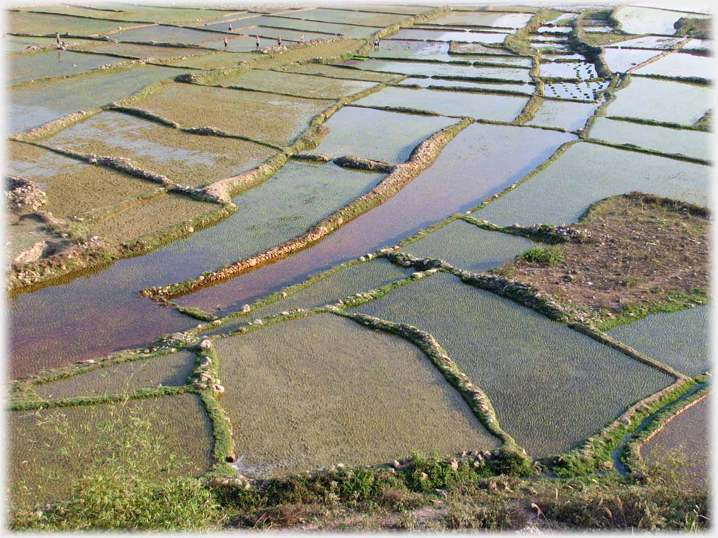 Wide view of water filled fields, ten small figures in the distance.