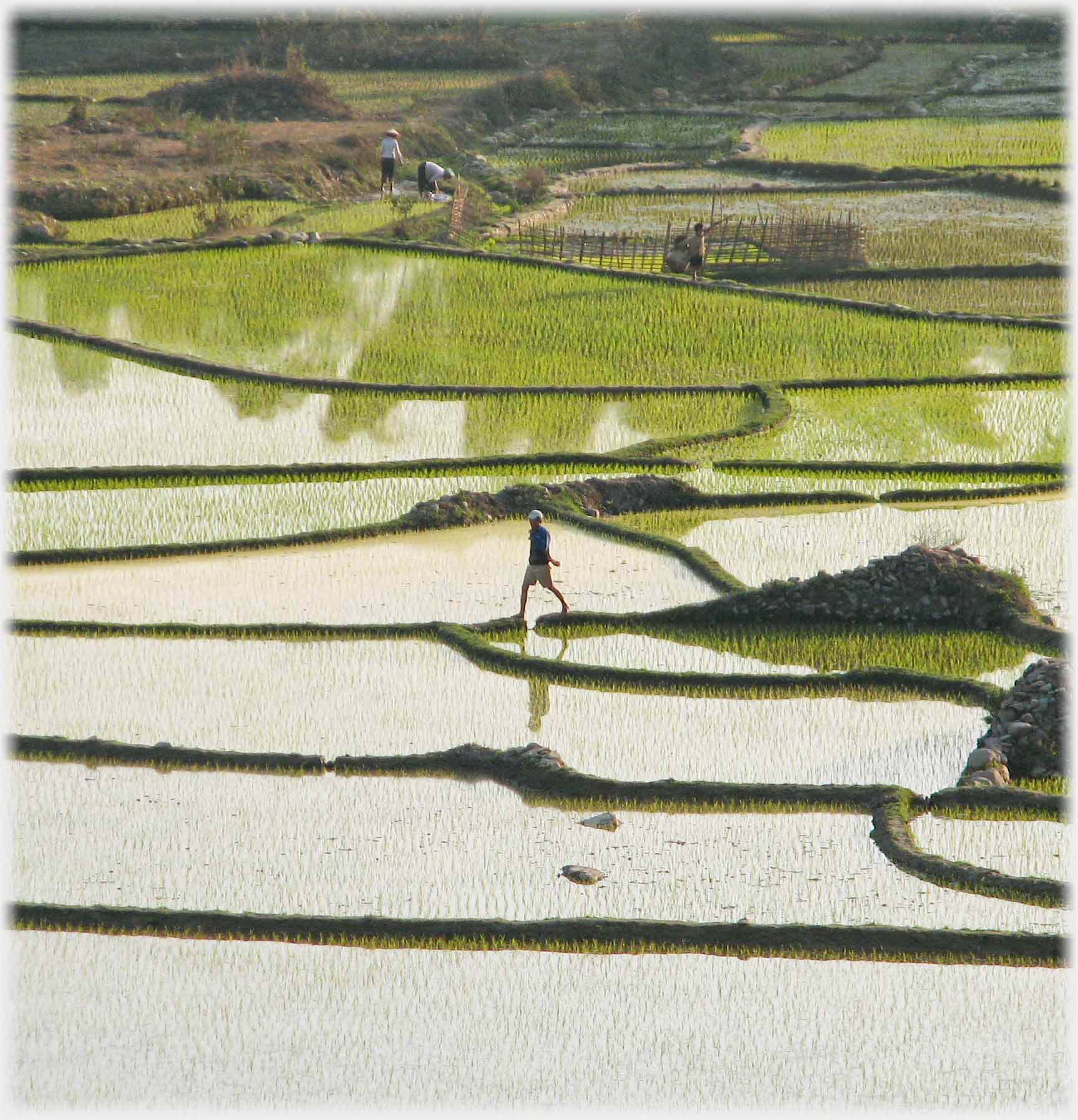 Man walking on dyke stepping over gap.