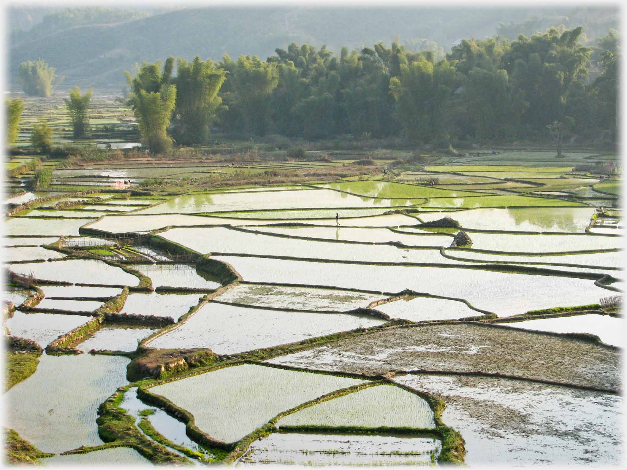 Dot of a man across fields.