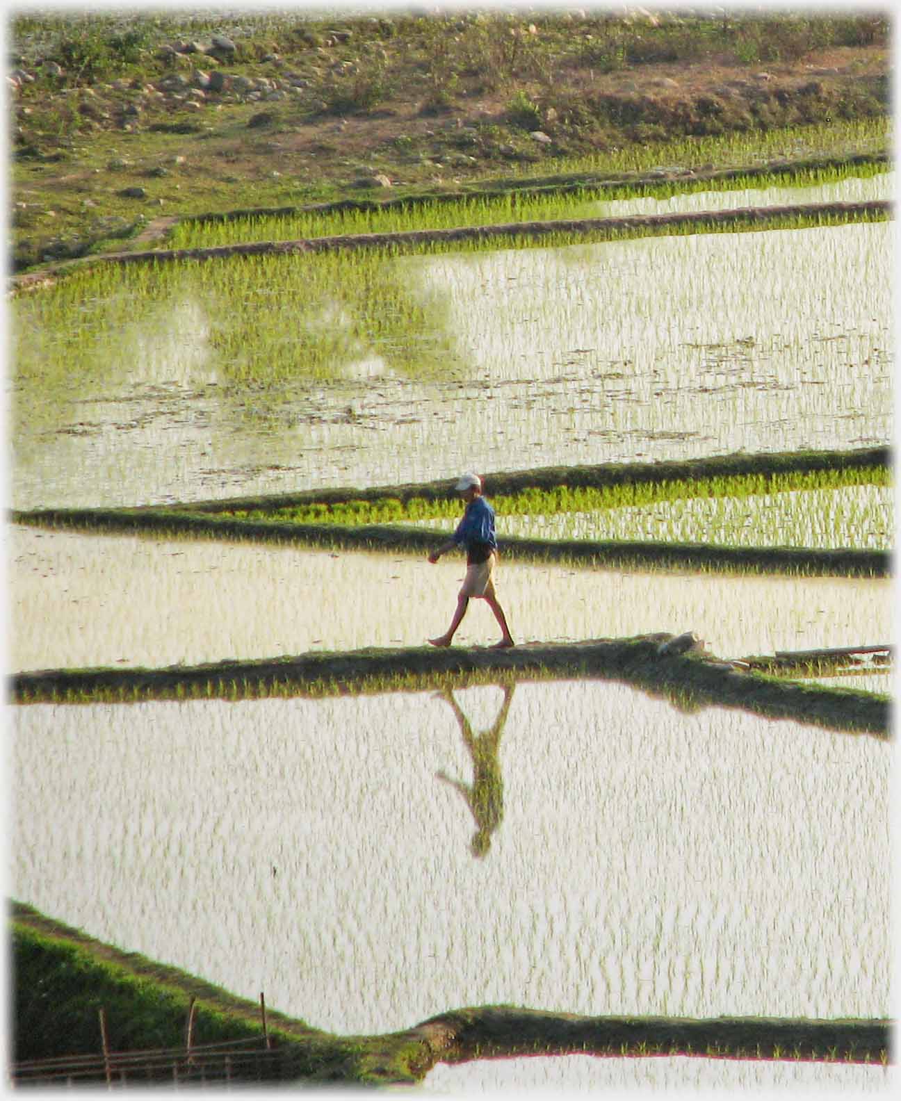 Closer view of man striding with reflection.