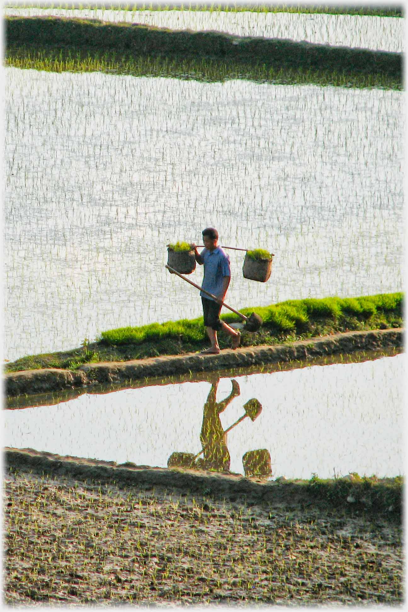 Man on dyke with pannier.