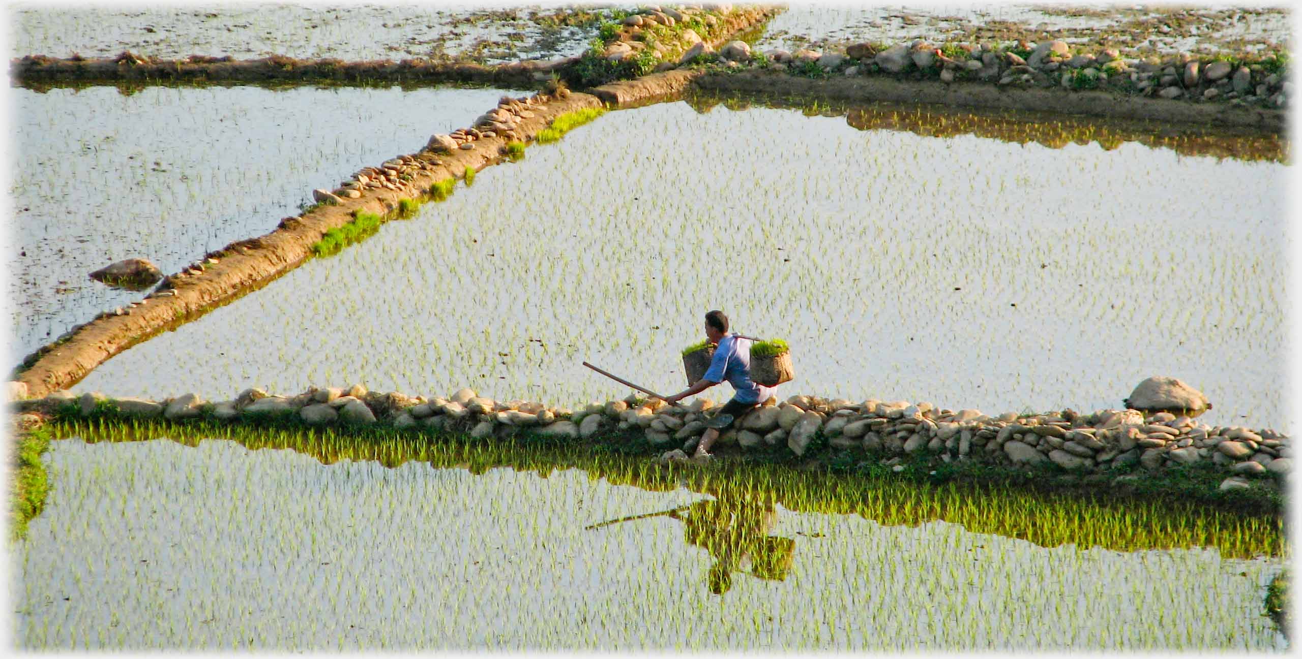 Man with pannier sitting down on dyke leggs in water on either side.