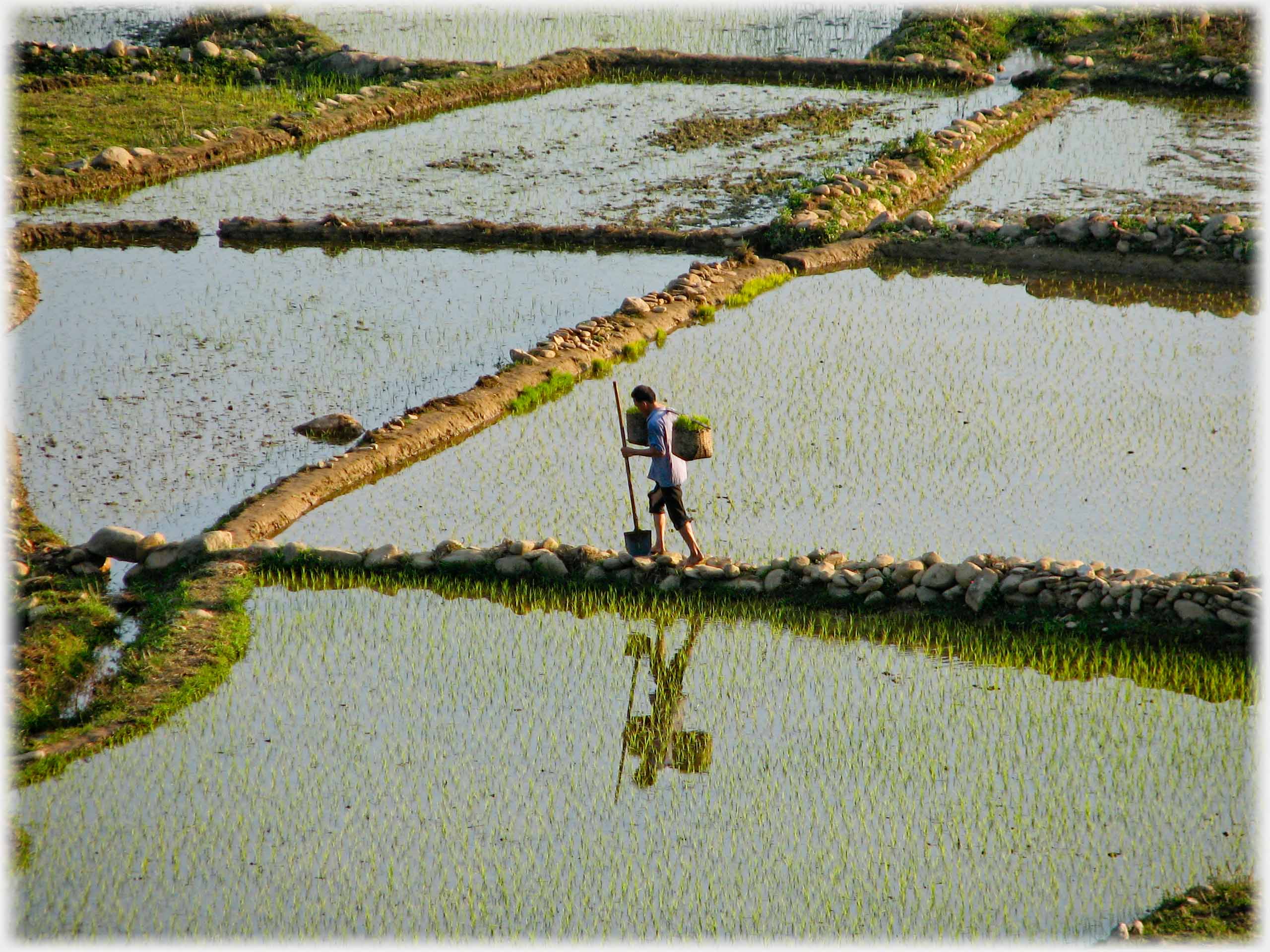 Man with pannier again walking on dyke, but using shovel for support.