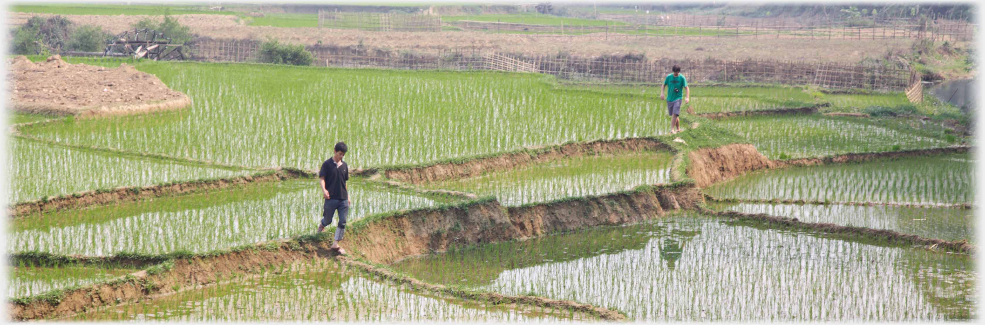 Two non-farming figures walking on dyke.