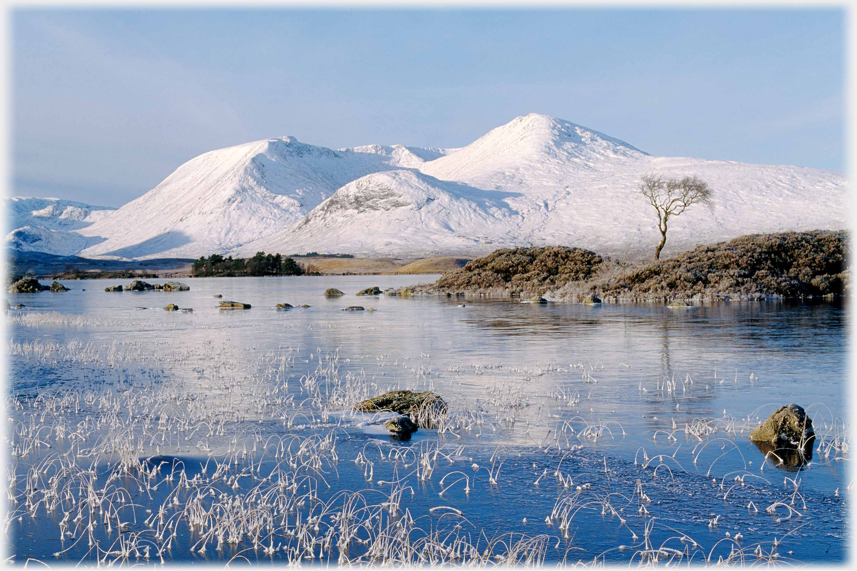 Frozen loch, white hills and small tree.