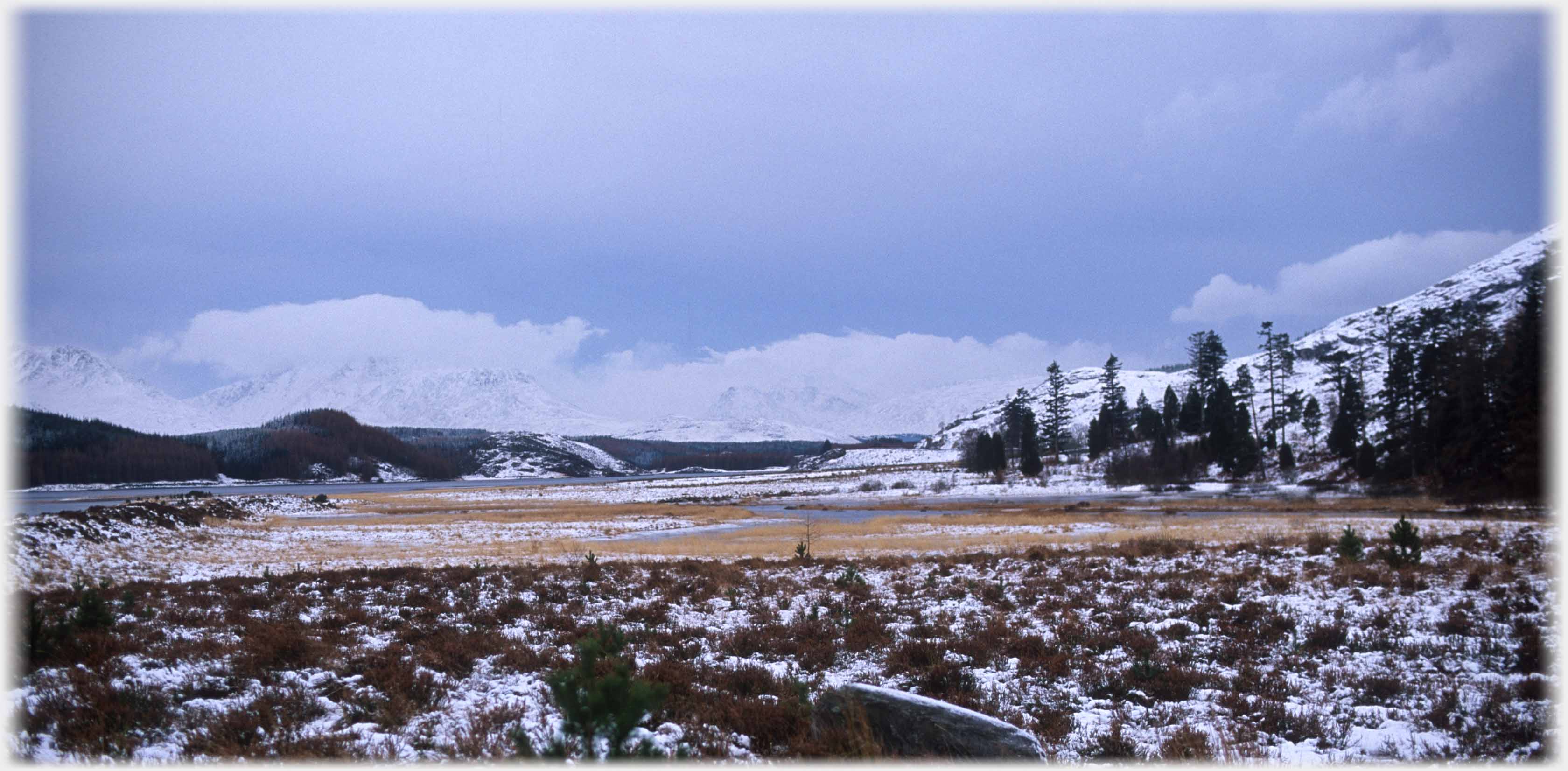 Dark threatening clouds over a landscape of dark trees and some snow.