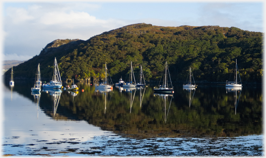 Yachts moored in dark shadow.