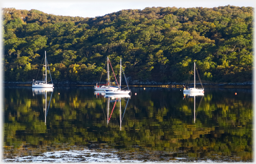 Four boats with reflections in shadow.